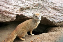 Killikus&reg; Fotographie